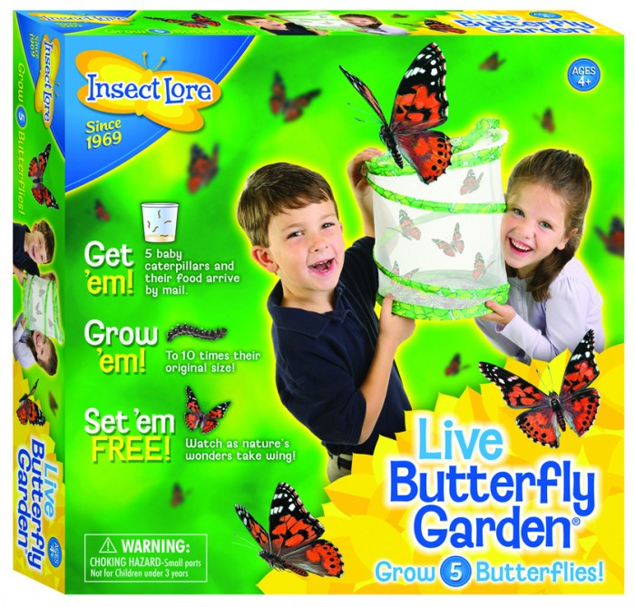 Butterfly Garden Pkg