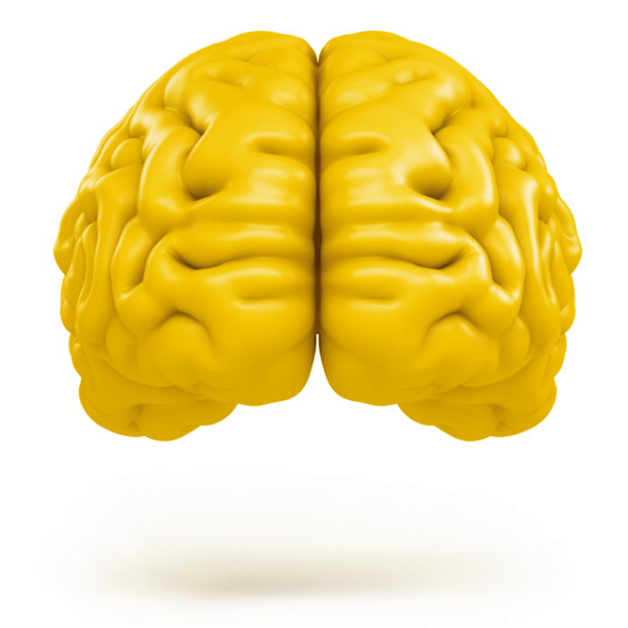 yellow-brain